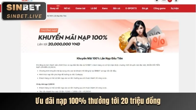 Hoàn trả hàng ngày và hàng tuần tại win365
